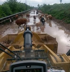 Meet your Posher, Erik